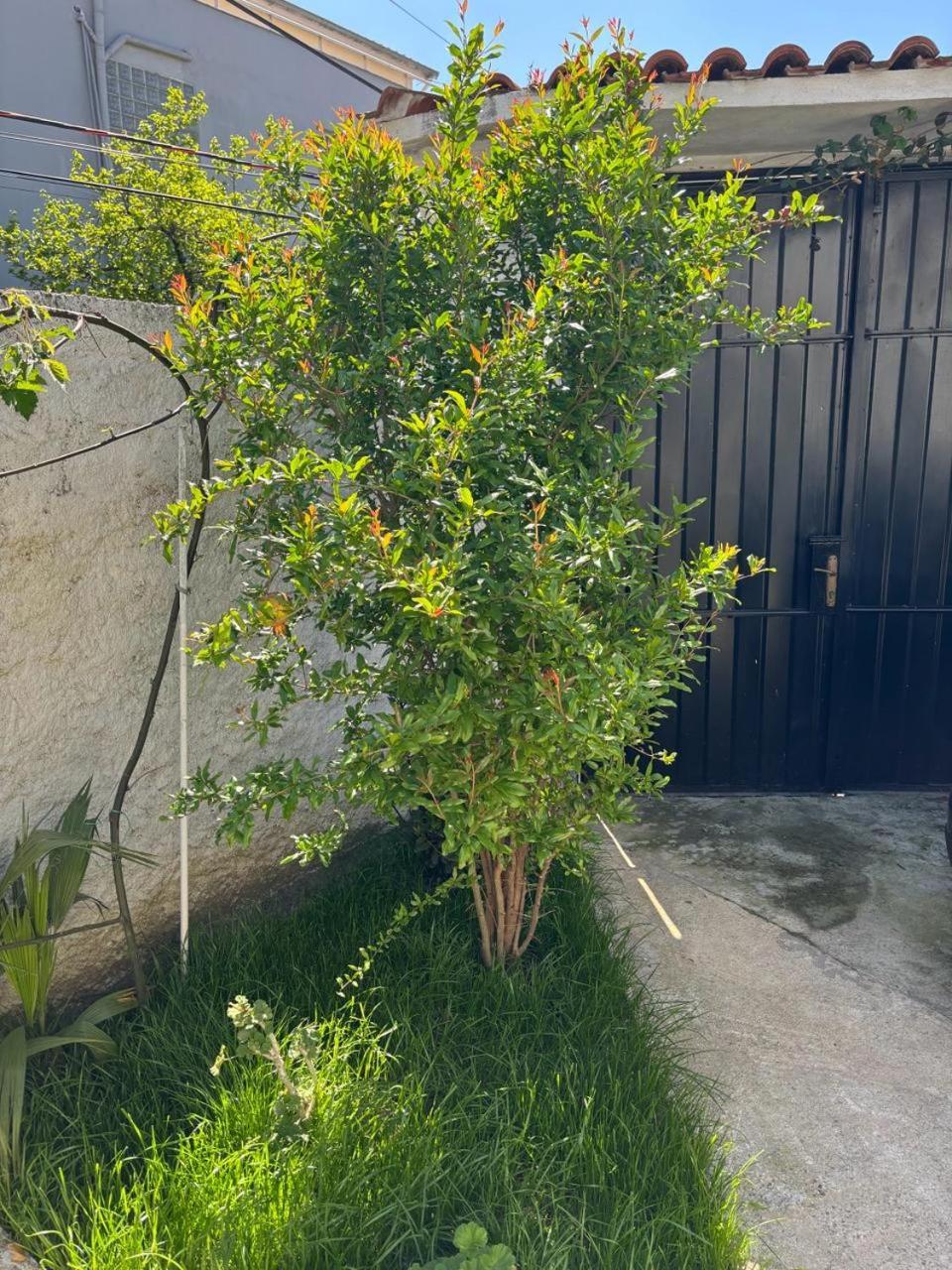 Garden One Bedroom Apartment Tirana Exterior foto