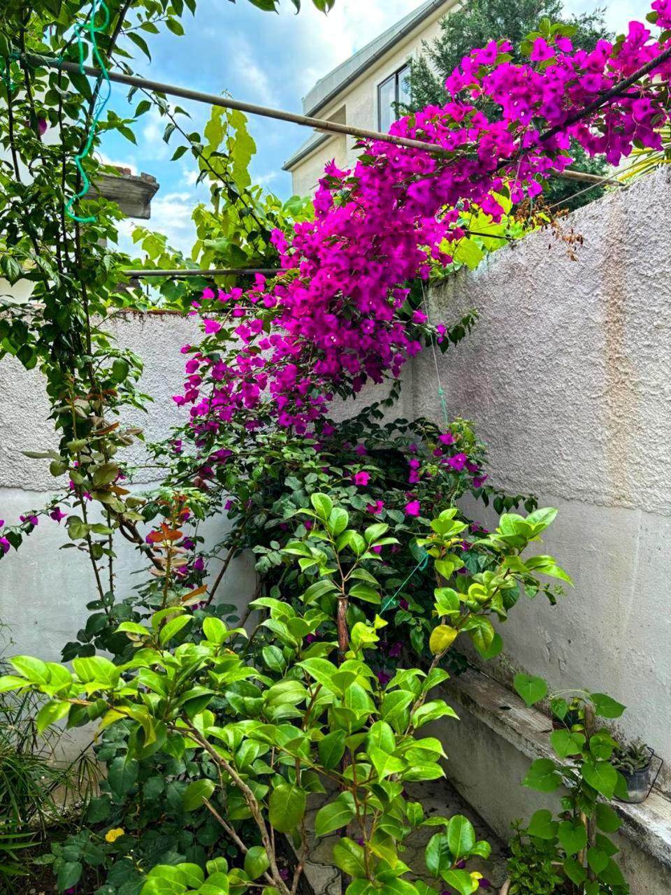 Garden One Bedroom Apartment Tirana Exterior foto